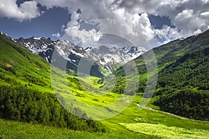 Alpine mountains landscape on bright sunny summer day. Grassy meadow on hillside with mountain river and rocky mountain