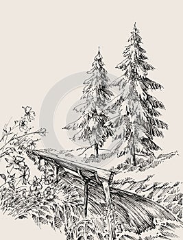 Alpine nature landscape vector