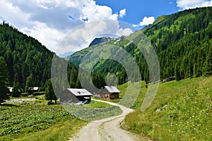 Alpine pasture with wooden lodges at Muritzen valley