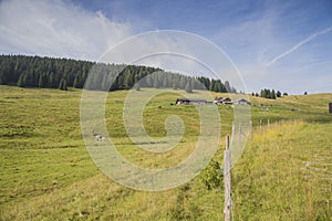 Alpine Pastures on the Asiago Plateau in Italy