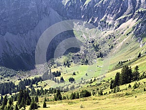 Alpine pastures and grasslands in the Oberseetal alpine valley, Nafels Naefels