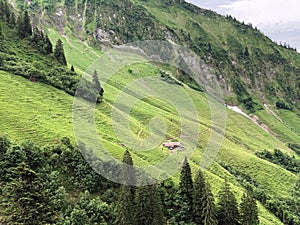 Alpine pastures and grasslands in the Sihltal valley and by the artifical Lake Sihlsee, Studen - Canton of Schwyz, Switzerland