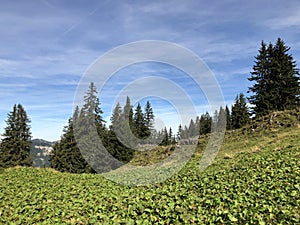 Alpine pastures and grasslands in the Wagital valley Waegital, Innerthal