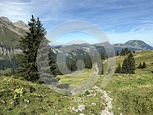 Alpine pastures and grasslands in the Wagital valley Waegital, Innerthal