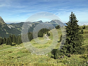 Alpine pastures and grasslands in the Wagital valley Waegital, Innerthal