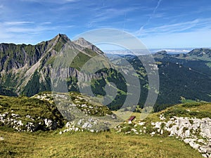 Alpine pastures and grasslands in the Wagital valley Waegital, Innerthal