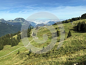 Alpine pastures and grasslands in the Wagital valley Waegital, Innerthal