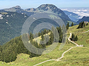 Alpine pastures and grasslands in the Wagital valley Waegital, Innerthal