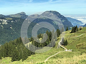 Alpine pastures and grasslands in the Wagital valley Waegital, Innerthal