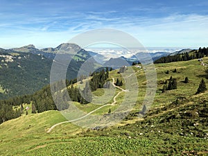 Alpine pastures and grasslands in the Wagital valley Waegital, Innerthal