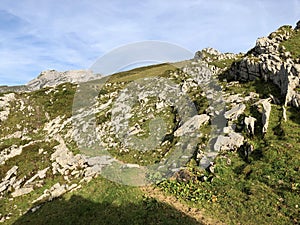 Alpine pastures and grasslands in the Wagital valley Waegital, Innerthal