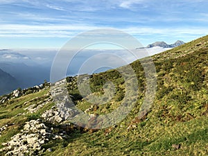 Alpine pastures and grasslands in the Wagital valley Waegital, Innerthal