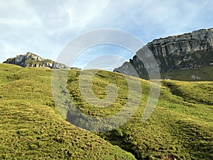 Alpine pastures and grasslands in the Wagital valley Waegital, Innerthal