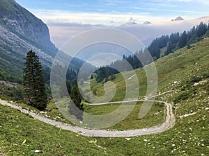 Alpine pastures and grasslands in the Wagital valley Waegital, Innerthal