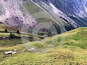 Alpine pastures and grasslands in the Wagital valley Waegital, Innerthal