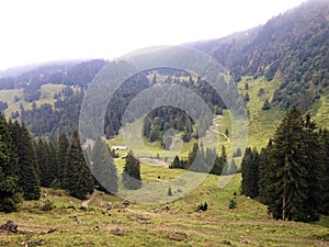 Alpine pastures and grasslands in the Wagital valley Waegital, Innerthal