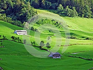 Alpine pastures and meadows in the Sernftal valley