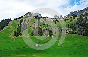 Alpine pastures and meadows on the slopes of Alpstein mountain range and in the river Thur valley, Unterwasser