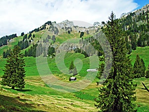 Alpine pastures and meadows on the slopes of Alpstein mountain range and in the river Thur valley, Unterwasser