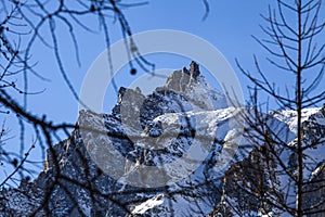 Alpine peak among the dead branches