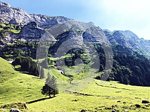 Alpine peak Schafberg in the Alpstein mountain range and in the Appenzellerland region