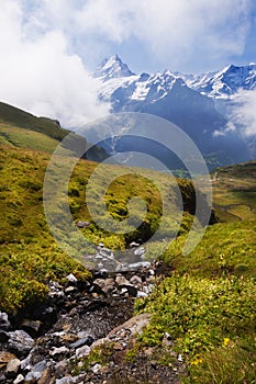 Alpine Peaks and Alpine Streams