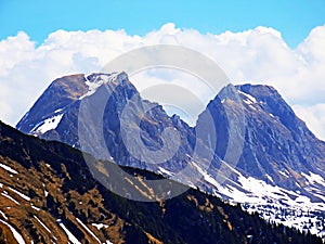 Alpine peaks Alvier and Gauschla in the Alvier group mountain range, between the Rheinthal and Seeztal valley, Walenstadtberg