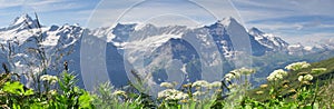 Alpine peaks of Grindelwald and Jungfrau. Landskape background of Bernese highland. Alps, tourism, journey, hiking