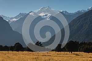 Alpine peaks in Westland National Park photo