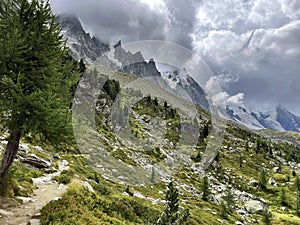 Alpine Promenade: Trail Path in Chamonix, Grand Balcon, France photo