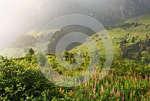 Alpine rain scene, Switzerland