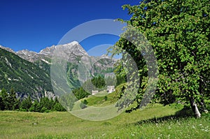 Alpine range landscape. Italian Alps, Monte Leone