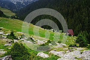 Alpine refuge in National Park Retezat