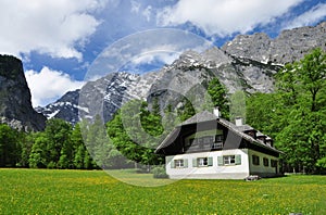 Alpine Residence
