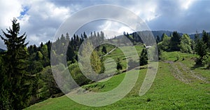 The alpine ridges of the Carpathian Mountains are surrounded by centuries-old forests on the background of the blue sky with white