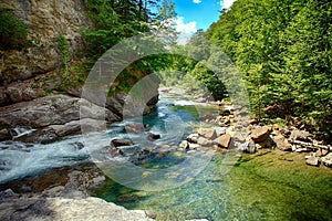 Alpine rill and mountaine forest in the National Park of Ordesa.