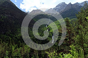 Alpine rill and mountaine forest in the National Park of Ordesa.