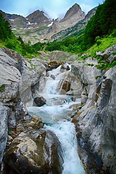 Alpine rill and mountaine forest in the National Park of Ordesa.