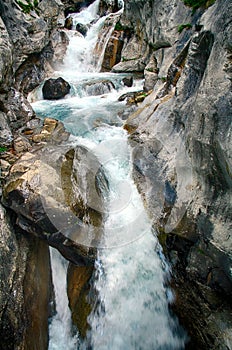 Alpine rill and mountaine forest in the National Park of Ordesa.