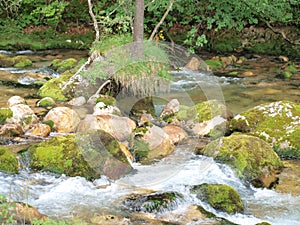 Alpine river PieÃŸling