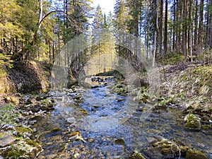 The alpine river RÃ¼mlig Ruemlig or Rumlig in the subalpine Eigental valley, Eigenthal - Canton of Lucerne, Switzerland Kanton L