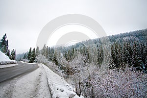 Alpine Road photo