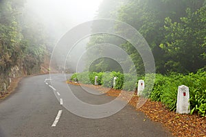 Alpine road in Madeira island