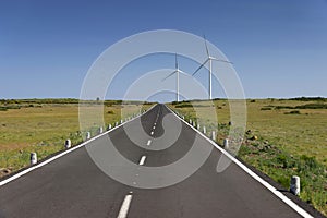 Alpine road in Madeira island