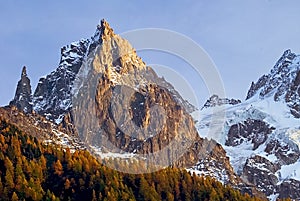 Alpine scene with larches