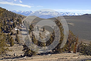 Alpine scene with snow capped mountains