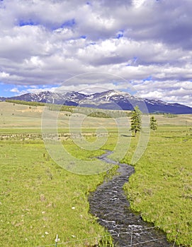 Alpine scene with stream in the Rocky Mountains