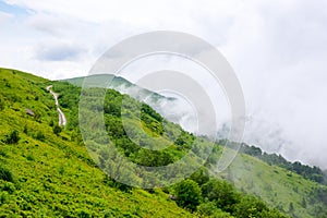 alpine scenery of ukrainian carpathian mountain smooth also called runa