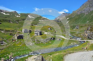 The alpine scenic landscapes of mountains, meadows and flowers at Dondena, Aosta Valley, Italy in the natural reserve of Mount