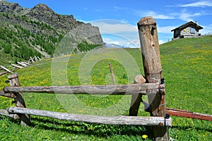 The alpine scenic landscapes of mountains, meadows and flowers at Dondena, Aosta Valley, Italy in the natural reserve of Mount